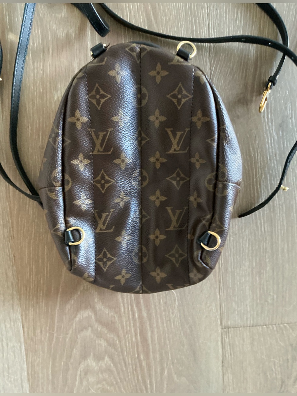 Louis Vuitton Palm Springs Monogram Mini Backpack - Picture 2 of 7